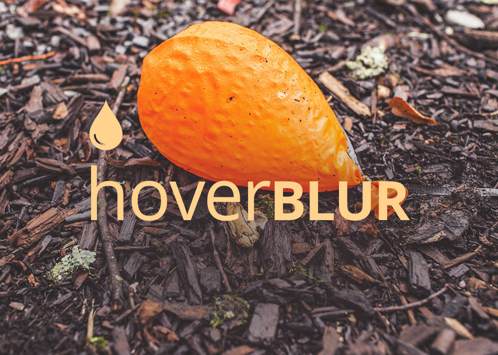 HOVER-BLUR_ADOBE MUSE WIDGET